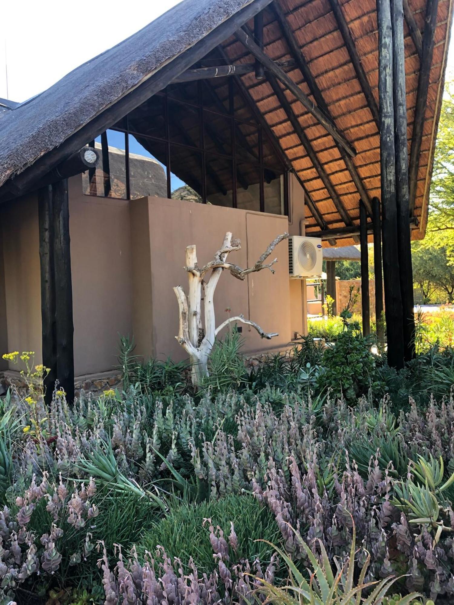 Pangolin Game Lodge - Self Catering, Incl 2 Game Drives Per Day Matlhagame エクステリア 写真